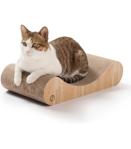 Amazon.co.jp: メジロ籠 落とし籠 : ペット用品